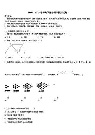 北京市第七中学2024届数学七下期末质量跟踪监视试题含解析.doc