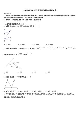 北京市第八中学2024届数学七下期末质量检测试题含解析.doc