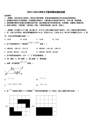 南京市联合体2023-2024学年七下数学期末统考模拟试题含解析.doc