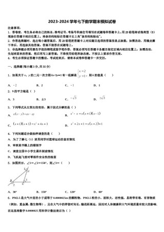 南省郴州市2024年七年级数学第二学期期末学业水平测试试题含解析.doc