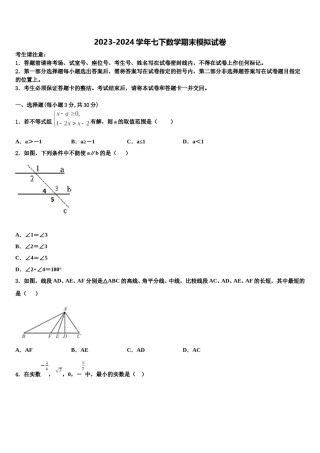 合肥市包河2024届七下数学期末复习检测模拟试题含解析.doc