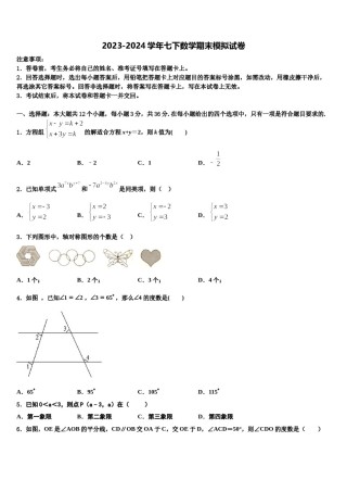 吉林省农安县新农中学2024届数学七下期末复习检测试题含解析.doc