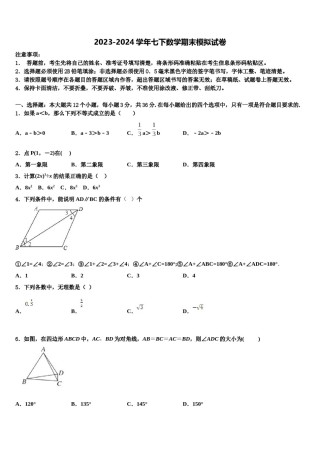 吉林省延边州安图县联考2023-2024学年七年级数学第二学期期末质量检测试题含解析.doc
