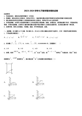 吉林省白山长白县联考2024年七年级数学第二学期期末达标检测模拟试题含解析.doc