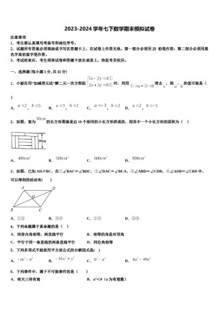 吉林省通化市外国语学校2023-2024学年七年级数学第二学期期末调研试题含解析.doc