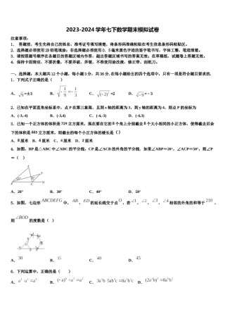 吉林省长春市吉大附中实验学校2024年七年级数学第二学期期末学业质量监测模拟试题含解析.doc
