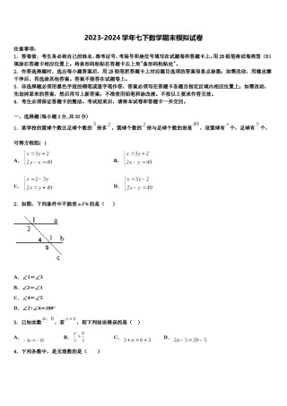 吉林省长春市新朝阳实验学校2023-2024学年七年级数学第二学期期末联考模拟试题含解析.doc