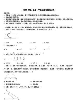 吉林省长春市解放大路中学2024届七下数学期末学业水平测试模拟试题含解析.doc