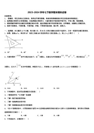 吉林省长春市长春汽车经济技术开发区2024届七下数学期末监测模拟试题含解析.doc