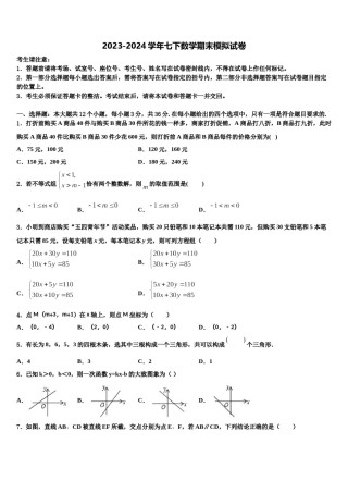 吉林省长春汽车经济技术开发区第九中学2024届七下数学期末达标检测试题含解析.doc