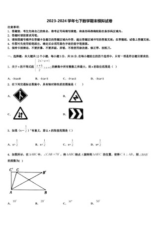 四川师大七中学九中学2024年数学七下期末学业质量监测试题含解析.doc