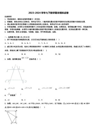 四川渠县联考2024年七年级数学第二学期期末教学质量检测模拟试题含解析.doc