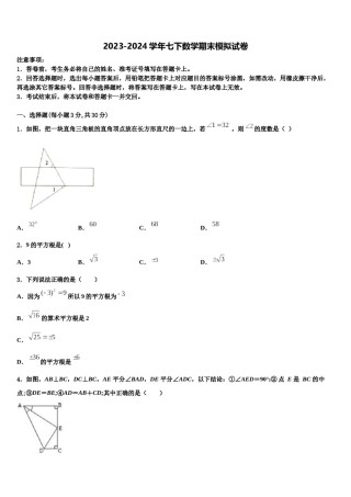 四川省仪陇县2024年七下数学期末检测试题含解析.doc