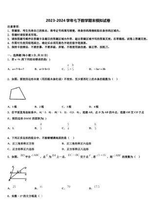 四川省北师大广安实验学校2023-2024学年数学七下期末教学质量检测模拟试题含解析.doc