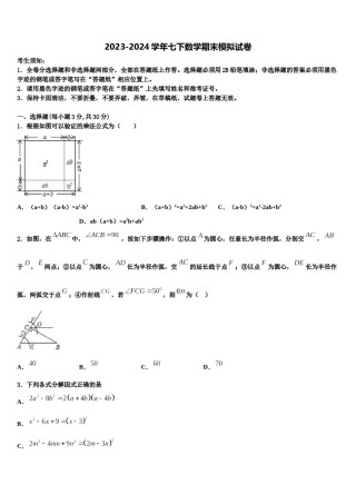 四川省射洪市2024年七下数学期末综合测试模拟试题含解析.doc