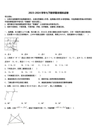 四川省巴中南江县联考2024年七下数学期末学业质量监测模拟试题含解析.doc