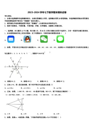 四川省巴中学市巴中学2024年七下数学期末学业质量监测试题含解析.doc