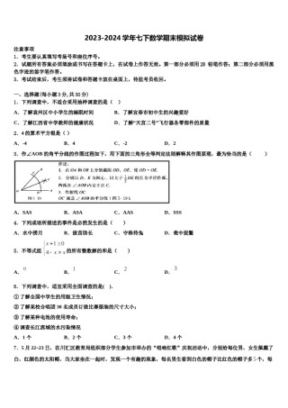 四川省巴中学市恩阳区第二中学2023-2024学年七下数学期末监测模拟试题含解析.doc