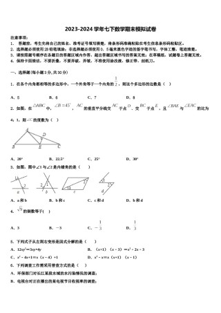 四川省广元市2024年七下数学期末学业质量监测试题含解析.doc