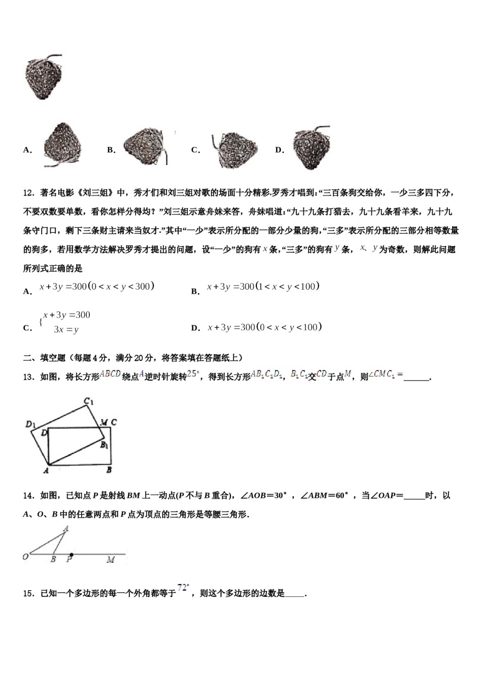 四川省广安市武胜县2024届七年级数学第二学期期末复习检测试题含解析.doc_第3页