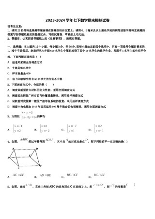 四川省成都七中2023-2024学年七年级数学第二学期期末综合测试试题含解析.doc