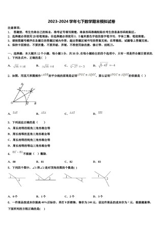 四川省成都市八中2024届数学七下期末学业质量监测试题含解析.doc