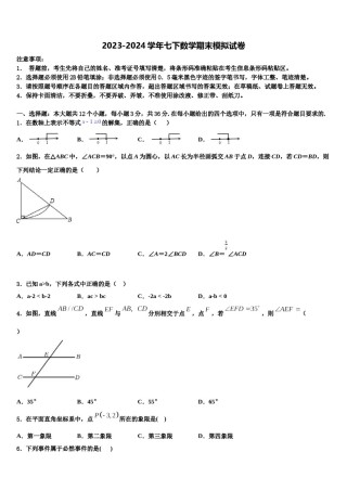 四川省成都市高新区2024年七下数学期末教学质量检测模拟试题含解析.doc