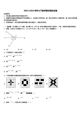 四川省成都市高新实验中学2024年数学七下期末学业水平测试模拟试题含解析.doc