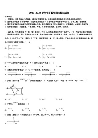 四川省攀枝花十七中学2024届七下数学期末监测模拟试题含解析.doc