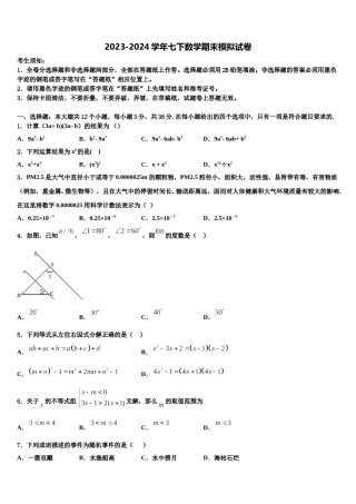 四川省渠县联考2024年七下数学期末达标检测模拟试题含解析.doc