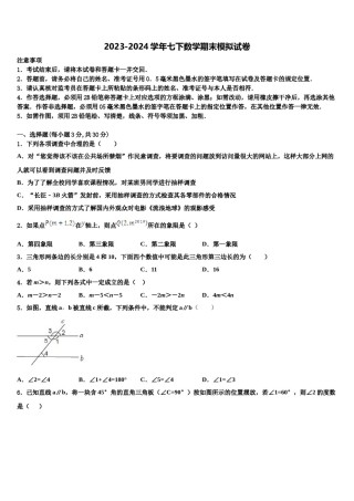 四川省资中学县2023-2024学年七下数学期末质量跟踪监视模拟试题含解析.doc