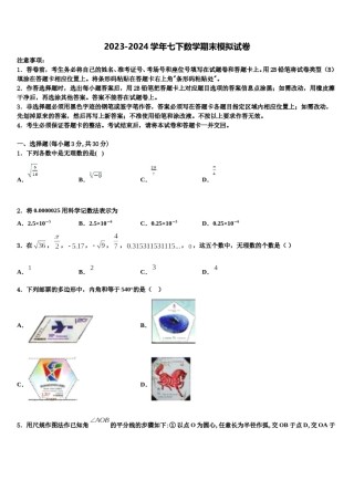 四川省资阳市雁江区临丰祥片区2024届七下数学期末学业水平测试试题含解析.doc