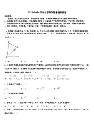 四川省通江县2023-2024学年七下数学期末质量跟踪监视试题含解析.doc