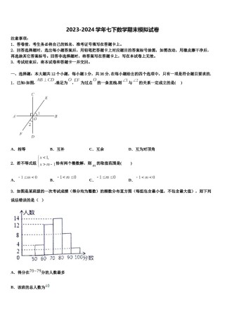 四川省遂宁市2024届数学七下期末学业质量监测试题含解析.doc