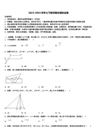 四川省遂宁市名校2024届七下数学期末学业质量监测试题含解析.doc