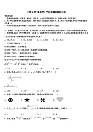 四川省阿坝市2023-2024学年七下数学期末学业质量监测模拟试题含解析.doc