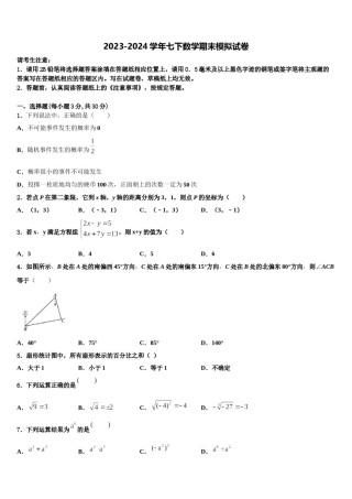 四川省青神县2024年七下数学期末质量检测模拟试题含解析.doc