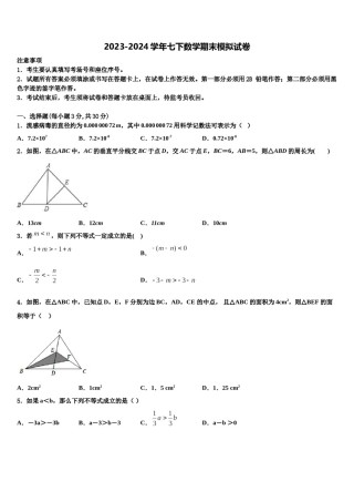 天津市南开区南开大附属中学2024届七年级数学第二学期期末经典试题含解析.doc