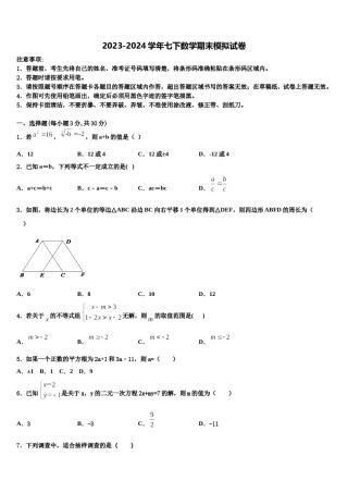 天津市宝坻区2023-2024学年七下数学期末质量检测试题含解析.doc