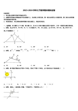 宁夏宽口井中学石油希望学校2024年数学七下期末质量检测试题含解析.doc