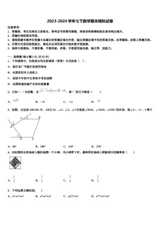 宁夏石嘴山市第三中学2023-2024学年七下数学期末学业水平测试试题含解析.doc