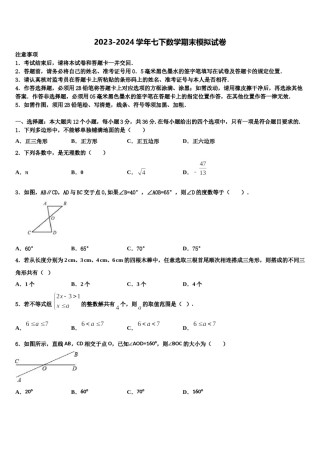 宁夏银川外国语实验学校2023-2024学年数学七下期末监测模拟试题含解析.doc