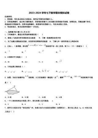 安庆市2023-2024学年七年级数学第二学期期末综合测试模拟试题含解析.doc