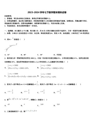 安庆市2024年数学七下期末经典模拟试题含解析.doc