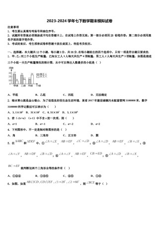 安微省2023-2024学年七年级数学第二学期期末检测模拟试题含解析.doc