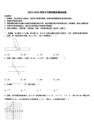安徽亳州利辛金石中学2023-2024学年数学七下期末质量检测模拟试题含解析.doc