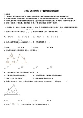 安徽淮北市2024年七年级数学第二学期期末调研模拟试题含解析.doc
