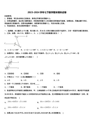安徽省亳州一中学南学校国际部2024届数学七下期末综合测试试题含解析.doc