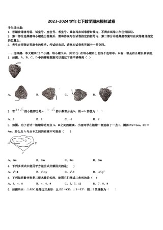 安徽省合肥市包河区四十八中学2023-2024学年七下数学期末检测模拟试题含解析.doc