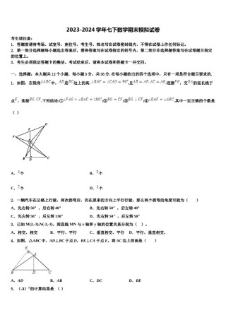 安徽省合肥市行知学校2023-2024学年数学七下期末复习检测模拟试题含解析.doc